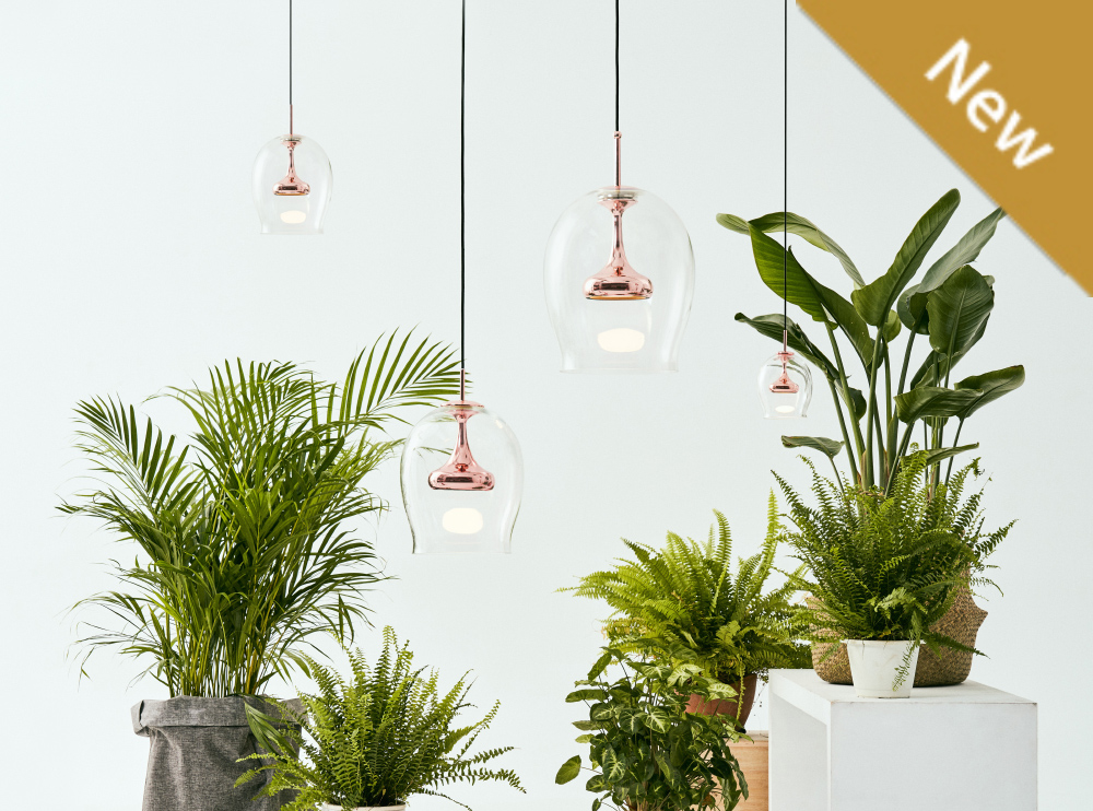 NEWSBanner 20190709 15