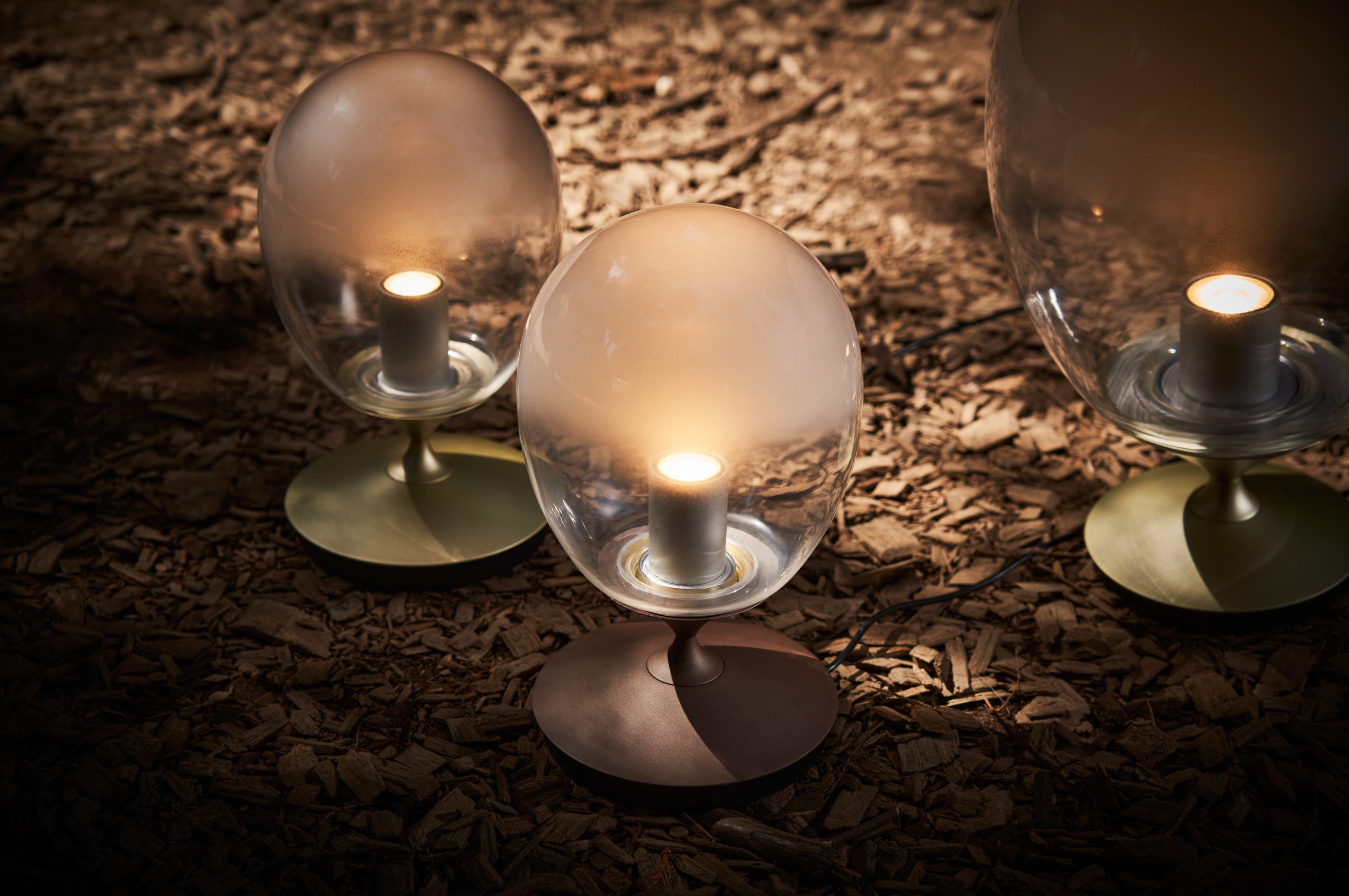 Seeddesign 202109 Forest 281 scaled 1